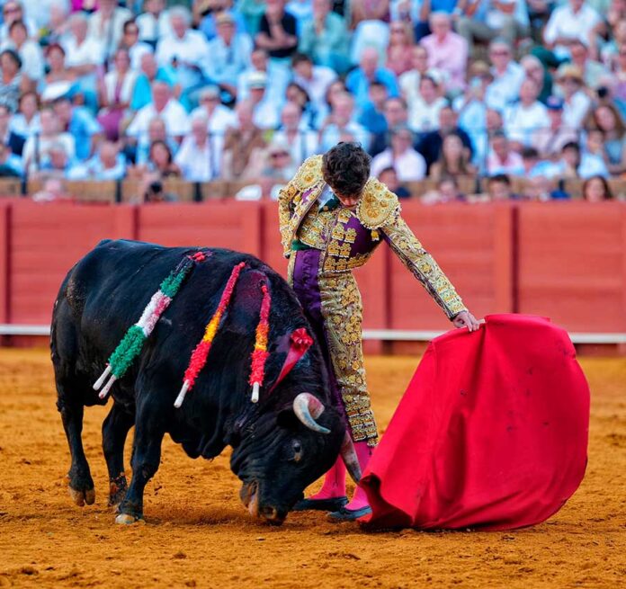 51-20260924-Manuel-Domínguez