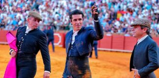 Talavante, triunfador del festival y herido de gravedad